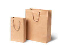 Papírové dárkové tašky 