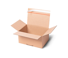 Obrázek Rychlouzavírací speedBOX krabice 
